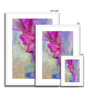 Gladiolas A1 Framed & Mounted Print