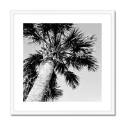 Palm Tree E2 Framed & Mounted Print