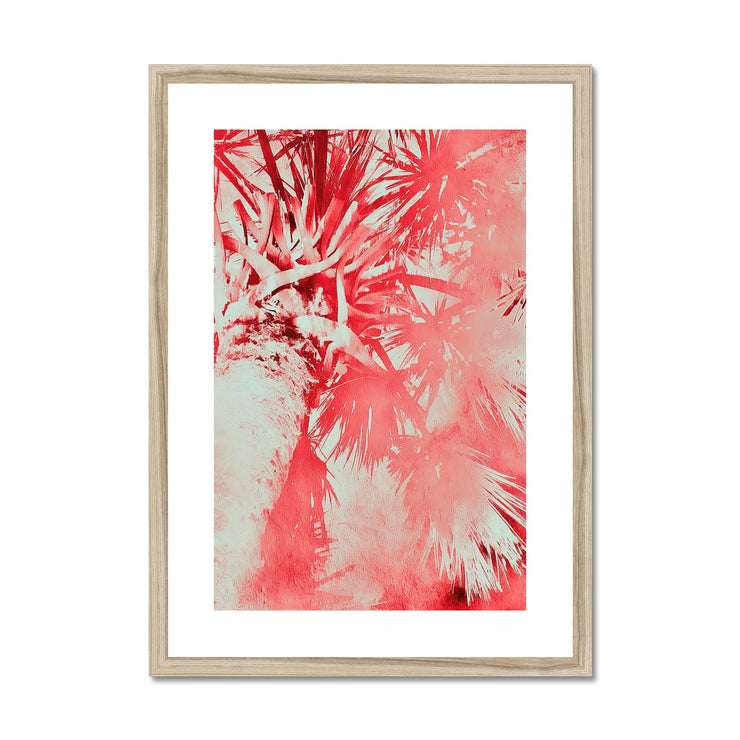 Palm Tree B6 Framed & Mounted Print