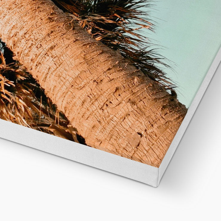 Palm Tree E1 Canvas