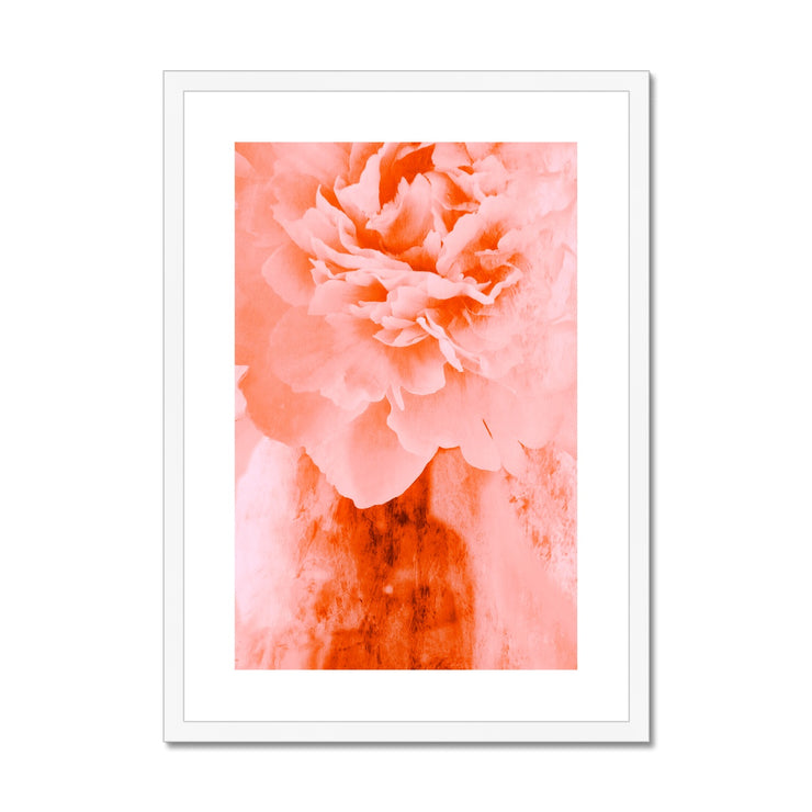 Peony G3 Framed & Mounted Print