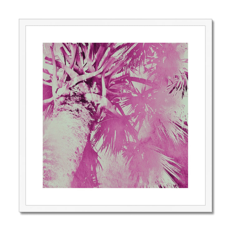 Palm Tree B5 Framed & Mounted Print