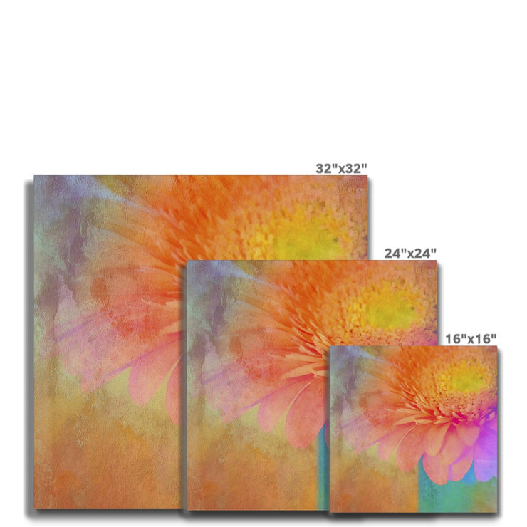 Gerbera B2 Canvas