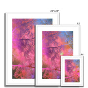 Albizia Tree A5 Framed & Mounted Print