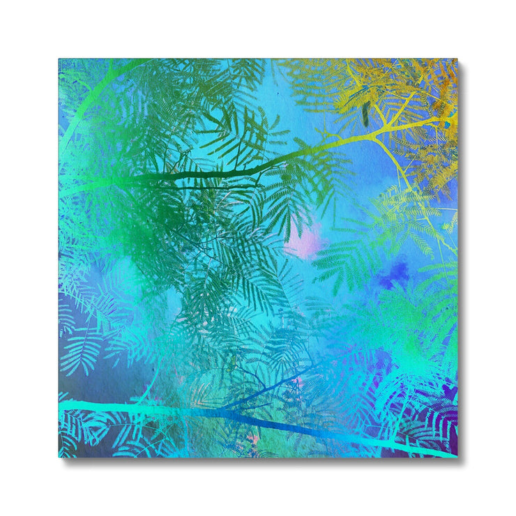 Albizia Tree A6 Canvas