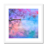 Albizia Tree B1 Framed & Mounted Print