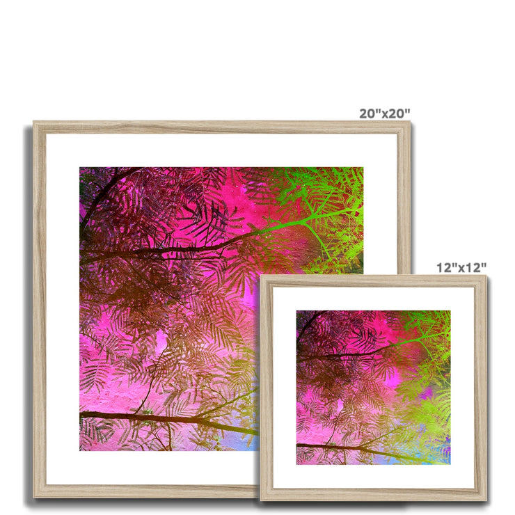 Albizia Tree A10 Framed & Mounted Print