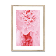 Peony G4 Framed & Mounted Print