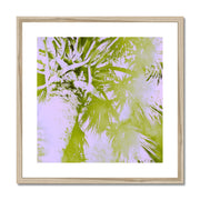 Palm Tree B2 Framed & Mounted Print