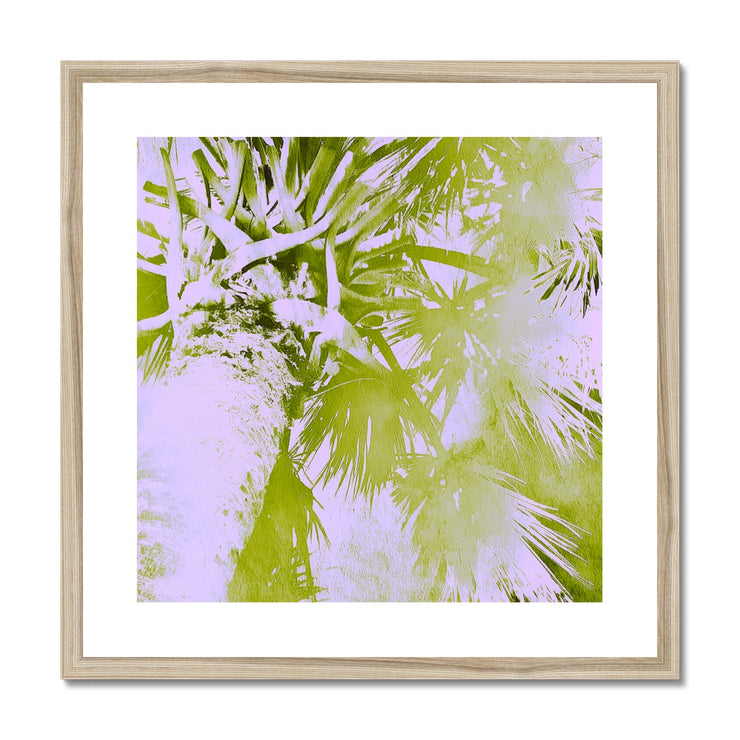 Palm Tree B2 Framed & Mounted Print