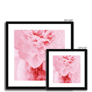 Peony G4 Framed & Mounted Print