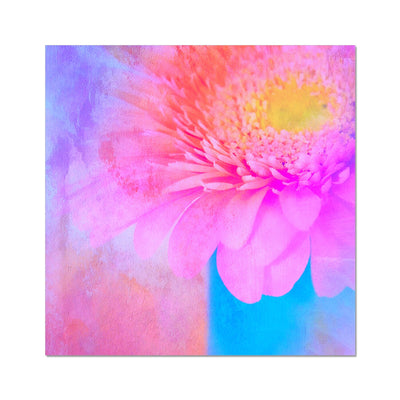 Gerbera B1 Hahnemühle Photo Rag Print