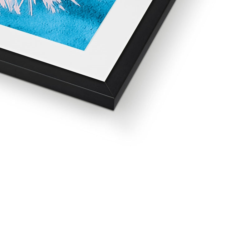 Palm Tree B7 Framed & Mounted Print