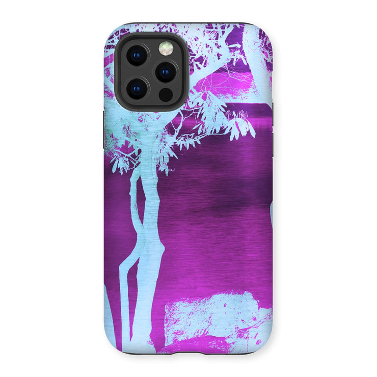 Price Lake B2 Tough Phone Case