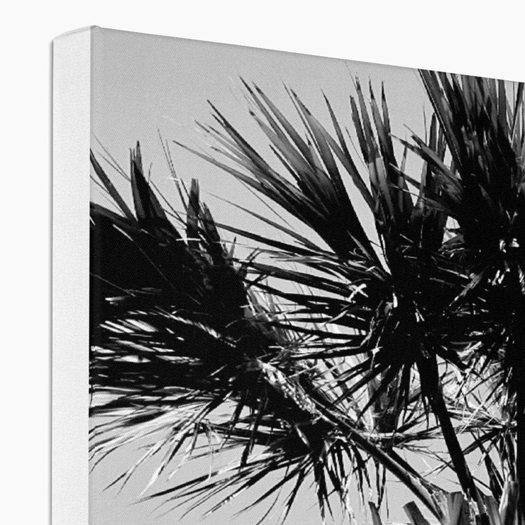 Palm Tree E2 Canvas