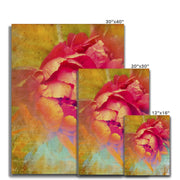 Peony E2 Canvas