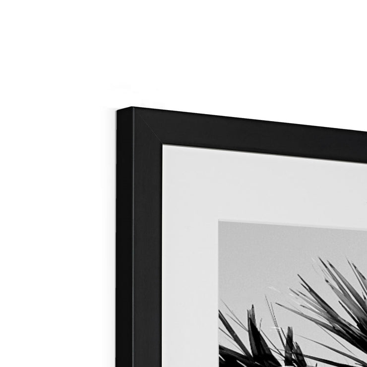 Palm Tree E2 Framed & Mounted Print