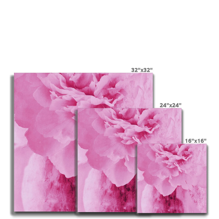 Peony G6 Canvas