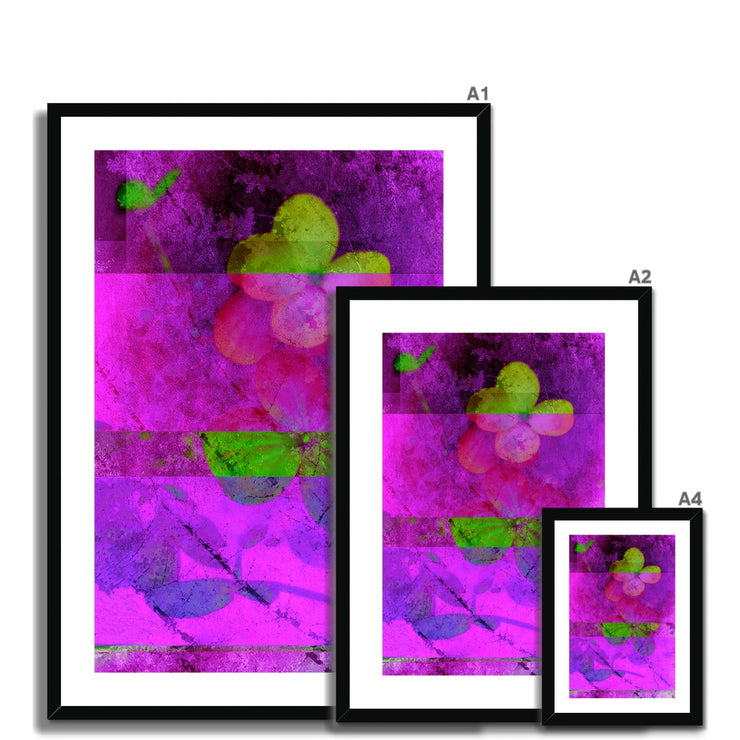 Hydrangea D1 Framed & Mounted Print