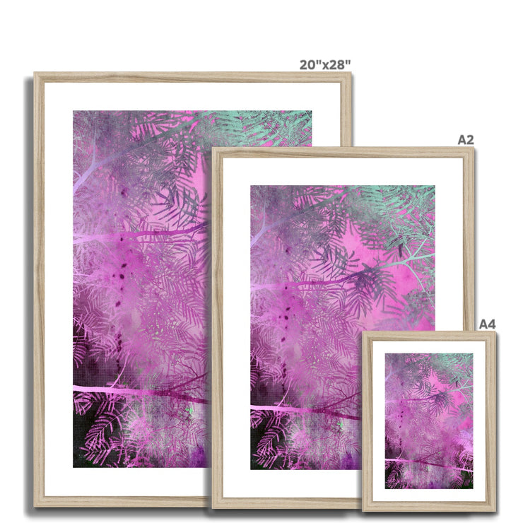 Albizia Tree A2 Framed & Mounted Print