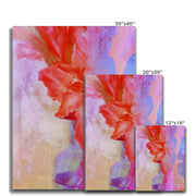 Gladiolas A2 Canvas