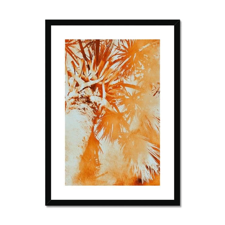 Palm Tree B1 Framed & Mounted Print