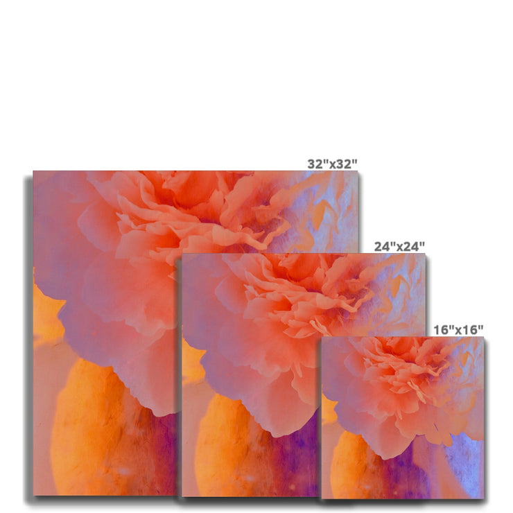 Peony G1 Canvas