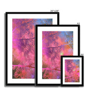 Albizia Tree A5 Framed & Mounted Print