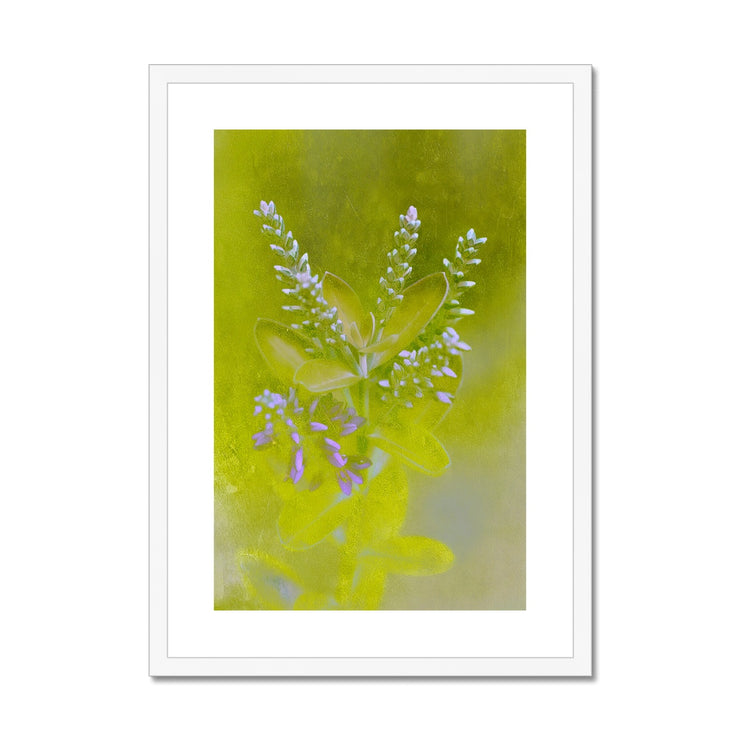 Lilac A5 Framed & Mounted Print