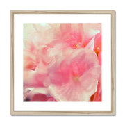 Hydrangea C1 Framed & Mounted Print