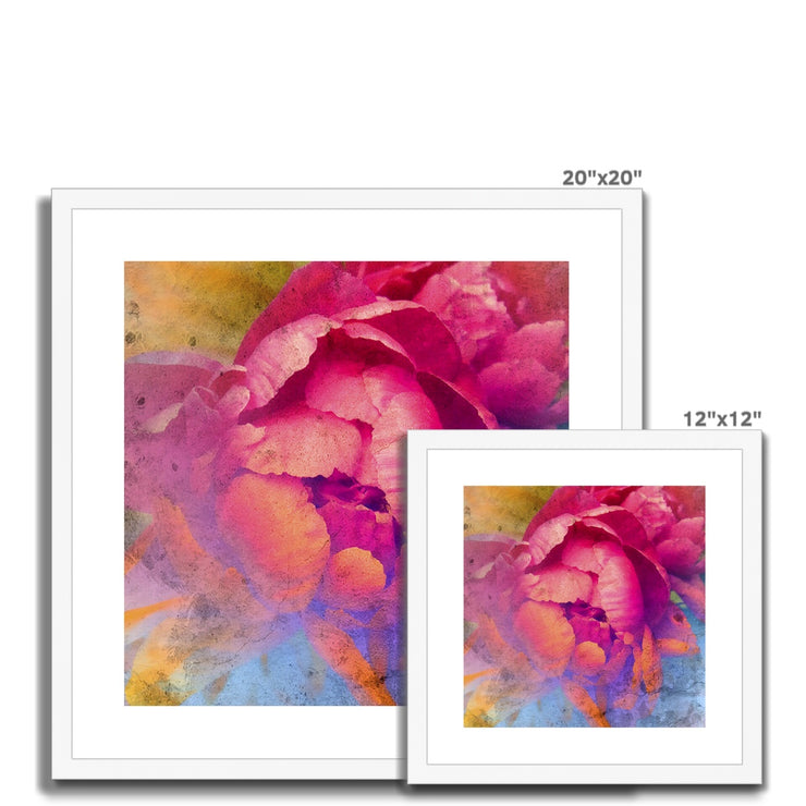 Peony E1 Framed & Mounted Print