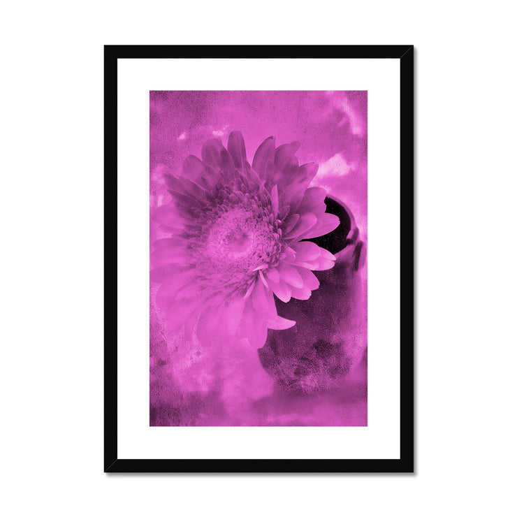 Gerbera A4 Framed & Mounted Print