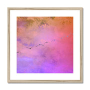 Pelicans in Flight A1 Framed & Mounted Print