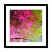 Albizia Tree A10 Framed & Mounted Print