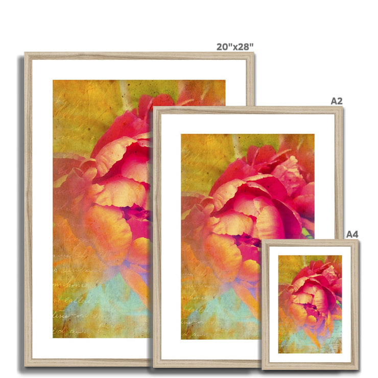 Peony E2 Framed & Mounted Print